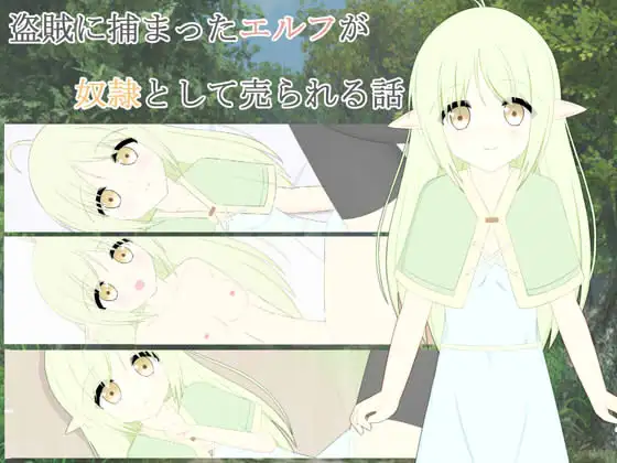 盗賊に捕まったエルフが奴○として売られる話