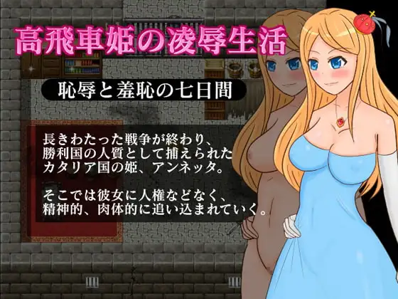 高飛車姫の凌○生活～恥辱と羞恥の七日間～