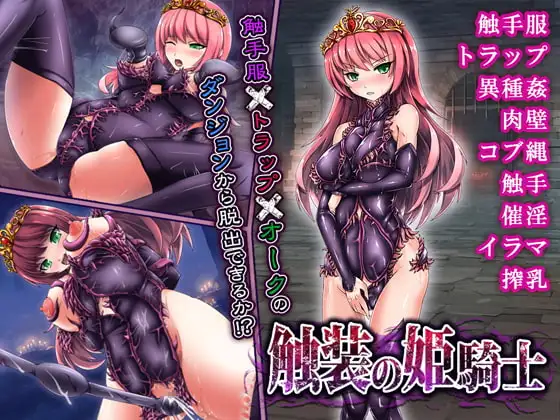 触装の姫騎士