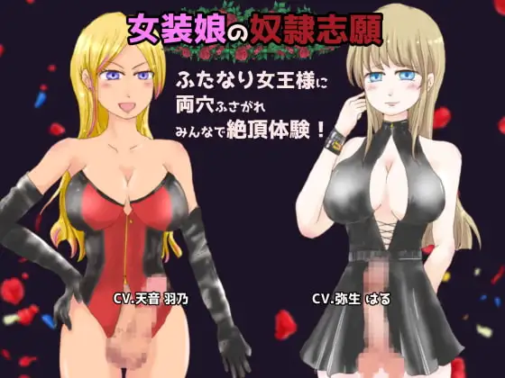 女装娘の奴○志願 ふたなり女王様に両穴ふさがれ みんなで絶頂体験!