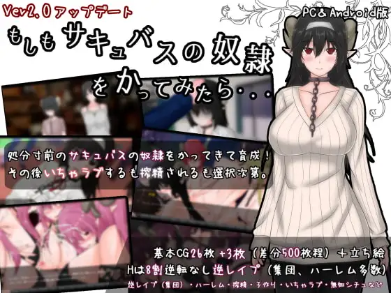 もしもサキュバスの奴○をかってみたら・・・