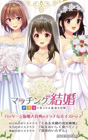 マッチング結婚 ～アプリで見つける最高の花嫁～ ドラマDLC