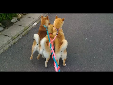 産業革命