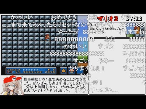 (コメント付き)マリオコレクションワープ無しRTA解説