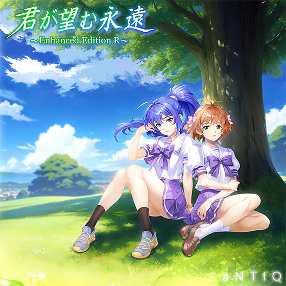君が望む永遠