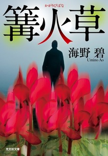 篝火草