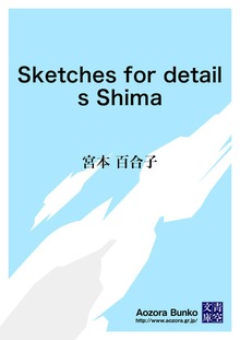 Sketches for details Shima
