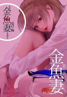 小説 金魚妻 分冊版