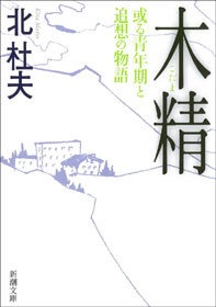 木精―或る青年期と追想の物語―