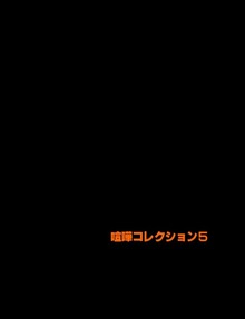 喧嘩コレクション５