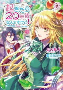 起きたら20年後なんですけど！　～悪役令嬢のその後のその後～