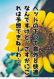 ベッドの下って意外と快適なんですけど、さすがにこれは予想できねーわ…。
