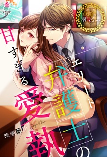 エリート弁護士の甘すぎる愛執【華麗なる溺愛シリーズ】