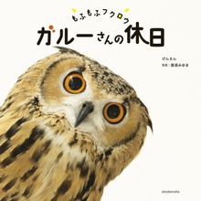 もふもふフクロウ ガルーさんの休日
