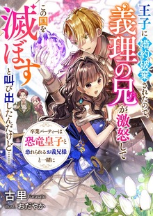 王子に婚約破棄されたので、義理の兄が激怒してこの国を滅ぼすと叫び出したんだけど（リブラノベル）