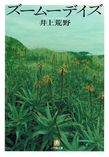 ズームーデイズ