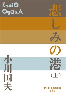 悲しみの港（P+D BOOKS）
