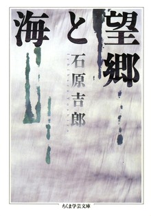 望郷と海
