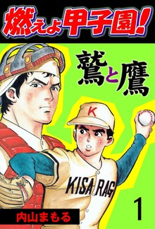 燃えよ甲子園！鷲と鷹（グループ・ゼロ）