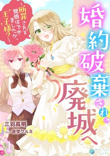 婚約破棄され、廃城へ～断罪される覚悟はできましたか、王子様？～（アマゾナイトノベルズ）