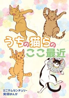 うちの猫らのここ最近