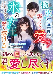 極氷御曹司の燃える愛で氷の女王は熱く溶ける～冷え切った契約結婚だったはずですが～【SS付き】