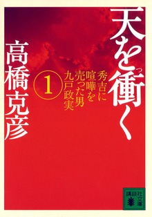 天を衝く 秀吉に喧嘩を売った男九戸政実