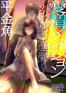 愛憎マンション ～秘密の逢瀬～