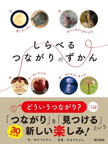しらべるつながりのずかん