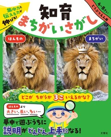 知育まちがいさがし（文響社）