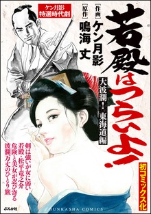若殿はつらいよ！（ぶんか社コミックス）
