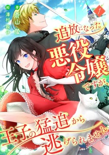 追放になった悪役令嬢ですが、王子の猛追から逃げられません（FG Moon）