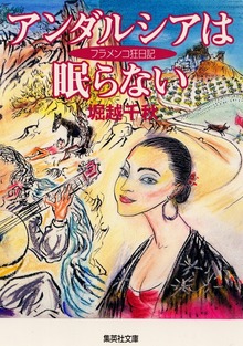 アンダルシアは眠らない フラメンコ狂日記