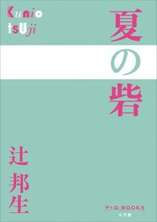 P+D BOOKS 夏の砦