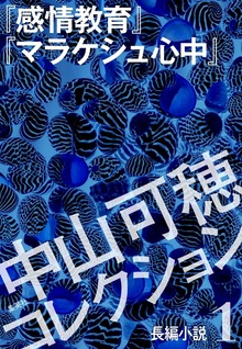 中山可穂コレクション（集英社単行本）