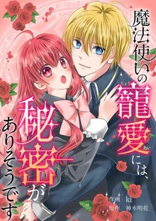 魔法使いの寵愛には、秘密がありそうです（シーモアコミックス）