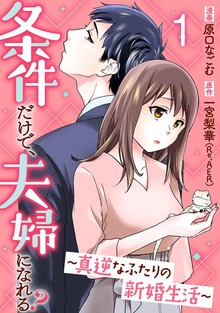 条件だけで、夫婦になれる？～真逆なふたりの新婚生活～
