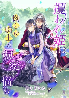 攫われ姫は、拗らせ騎士の偏愛に悩む（アマゾナイトノベルズ）