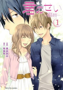 「君のせい ～傷跡～」シリーズ