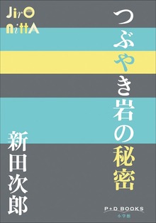 P＋D BOOKS つぶやき岩の秘密