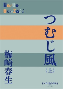 つむじ風（P+D BOOKS）