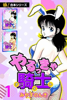 【極！合本シリーズ】 やるっきゃ騎士