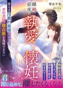離婚前夜の執愛懐妊～愛なき冷徹旦那様のはずが、契約妻への独占欲を我慢できない～
