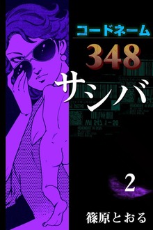 コードネーム348 サシバ