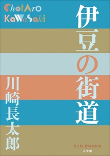P＋D BOOKS 伊豆の街道