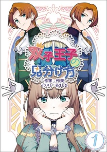 双子王子の見分け方（アマゾナイトノベルズ）