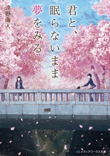 君と、眠らないまま夢をみる