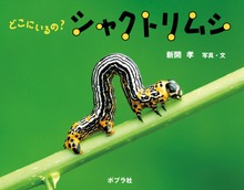 どこにいるの？ シャクトリムシ