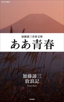 ああ青春