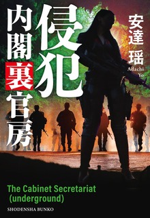 内閣裏官房